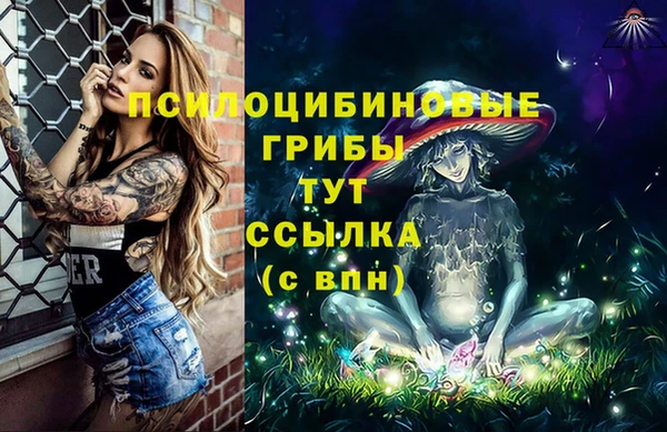 гашик Валуйки