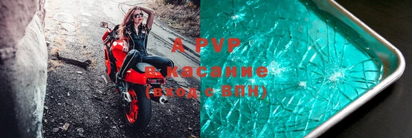 сатива Арсеньев