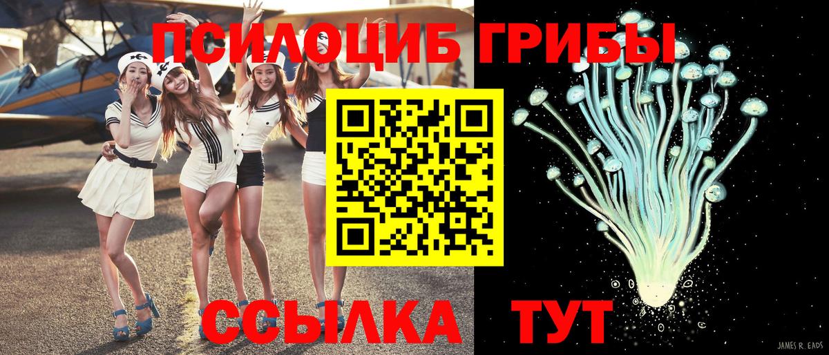 Ейск  Галлюциногенные грибы Psilocybine cubensis  Вход с VPN 